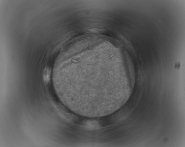 X0000112770075200909171323