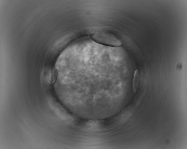 X0000112770076200909171323