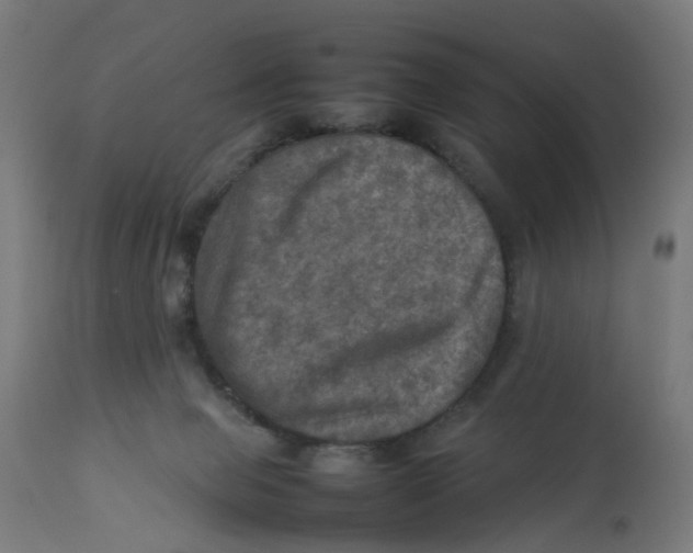 X0000112770077200909171323