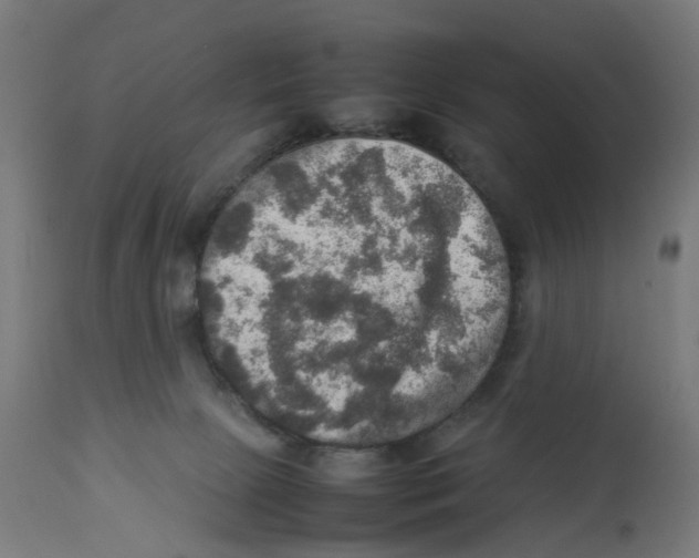 X0000112770081200909171323