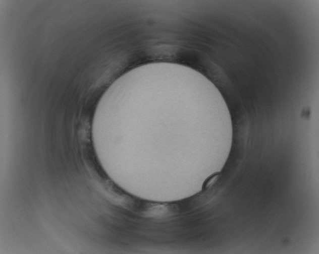 X0000112770083200909171323