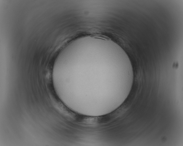 X0000112770084200909171323