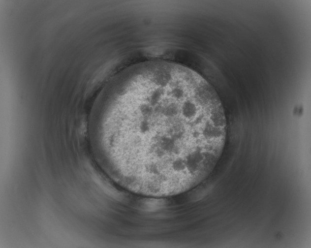 X0000112770085200909171323