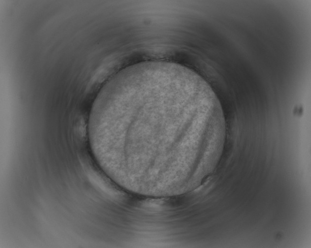 X0000112770086200909171323