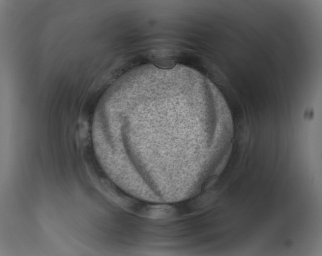 X0000112770087200909171323