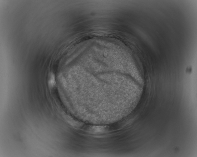 X0000112770089200909171324