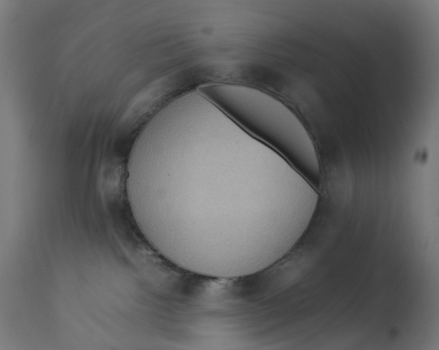 X0000112770092200909171324