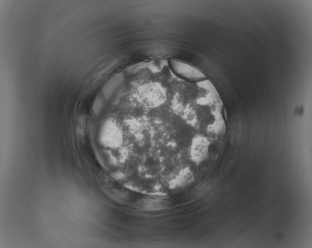 X0000112770093200909171324