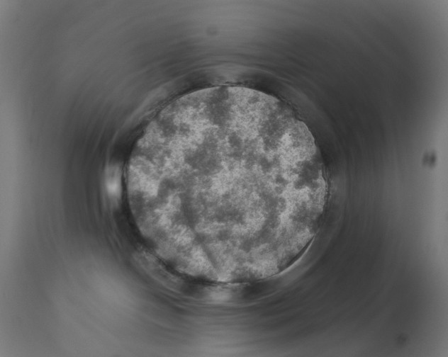 X0000112770094200909171324