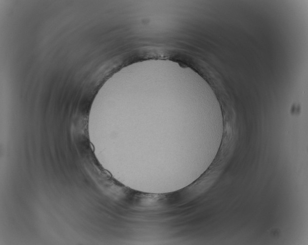 X0000112770096200909171324