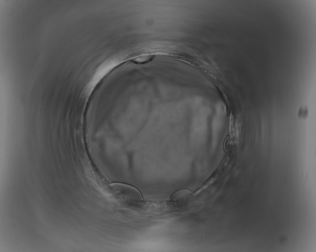 X0000112770099200909171323