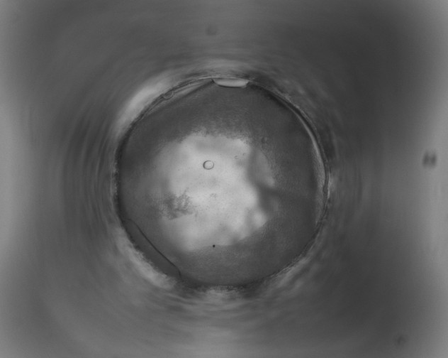 X0000112770101200909171323