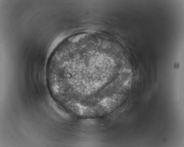 X0000112770102200909171323