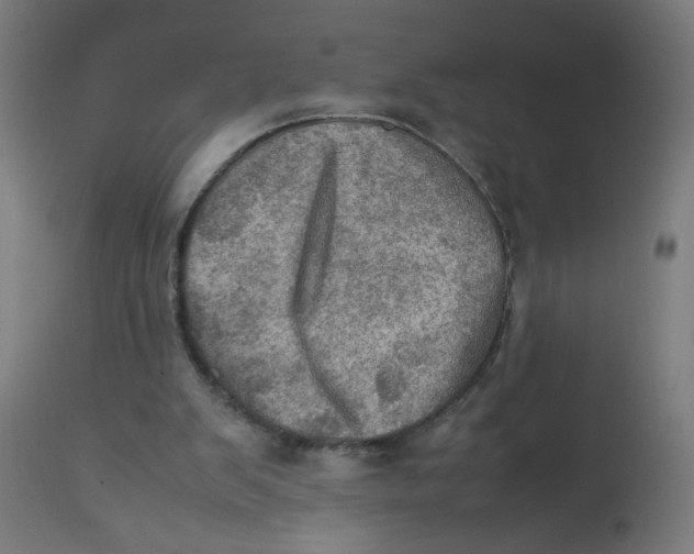 X0000112770103200909171323