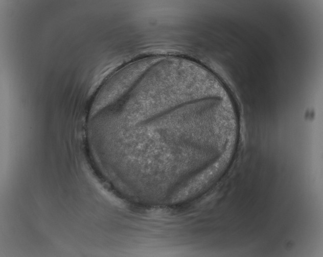 X0000112770105200909171323