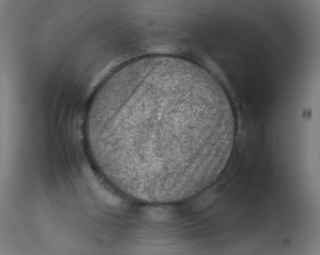 X0000112770106200909171322