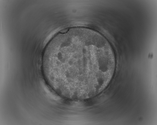 X0000112770107200909171322