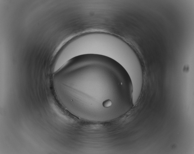 X0000112770108200909171322