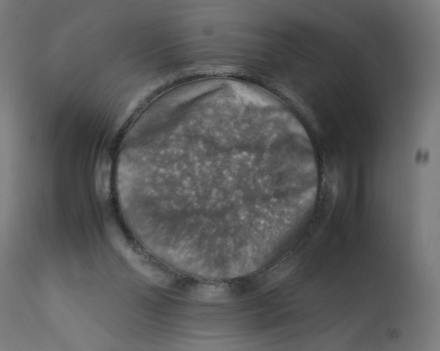 X0000112770110200909171322