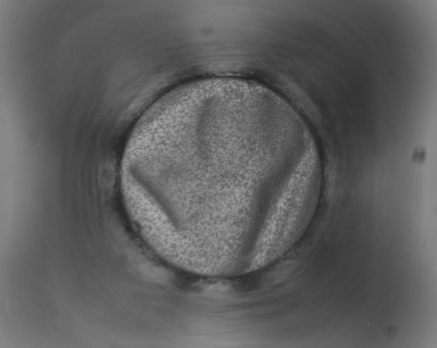 X0000112770113200909171322