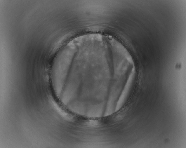 X0000112770114200909171322