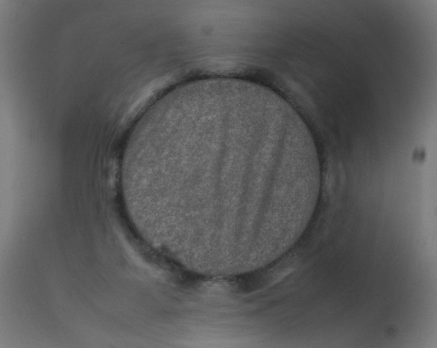 X0000112770115200909171322