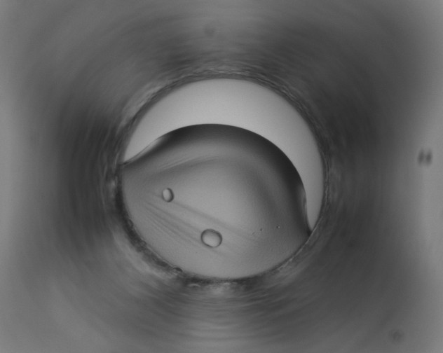 X0000112770116200909171322