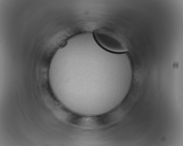 X0000112770117200909171322