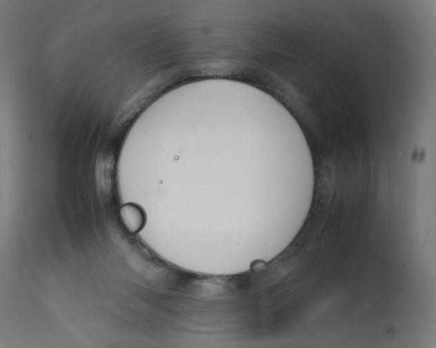 X0000112770118200909171322