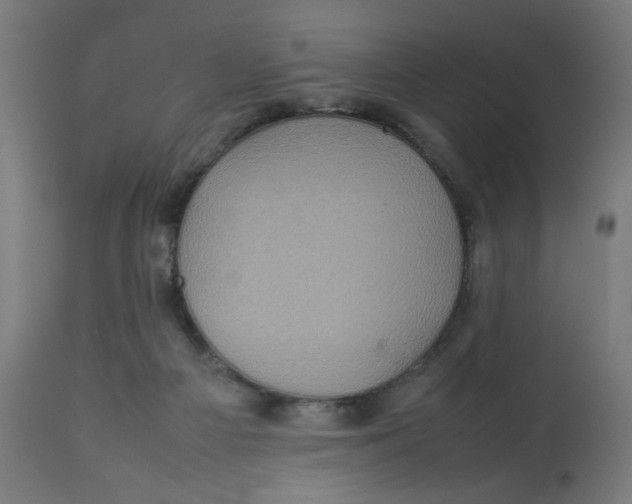 X0000112770121200909171322