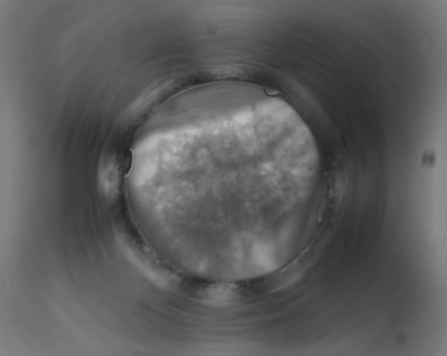 X0000112770124200909171322