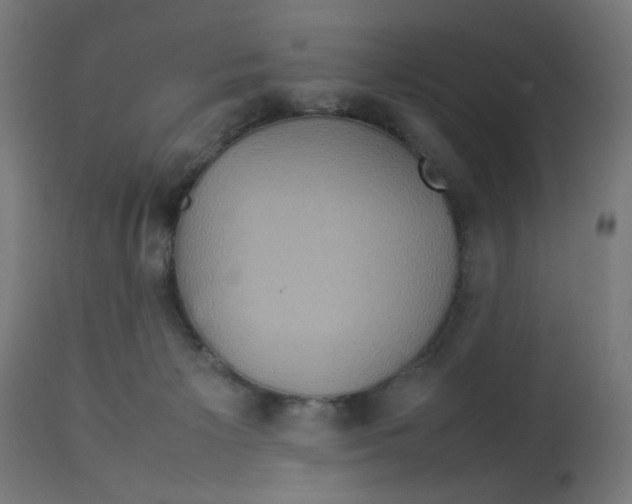 X0000112770125200909171322