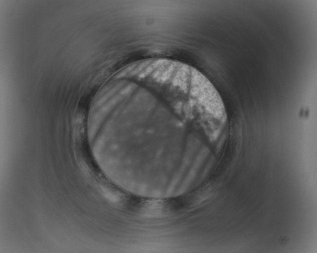 X0000112770127200909171322