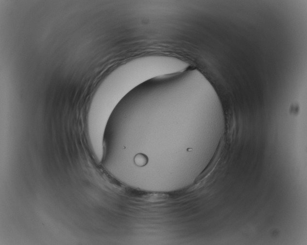 X0000112770128200909171322