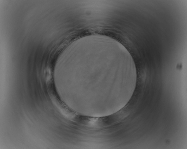 X0000112770130200909171322