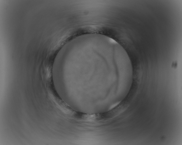 X0000112770131200909171322