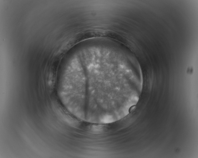 X0000112770134200909171322