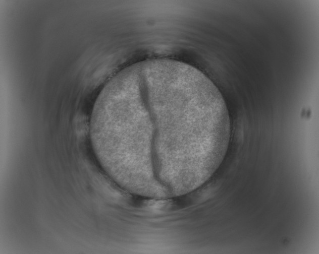 X0000112770135200909171322