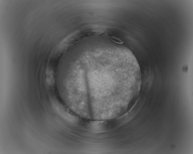 X0000112770136200909171322