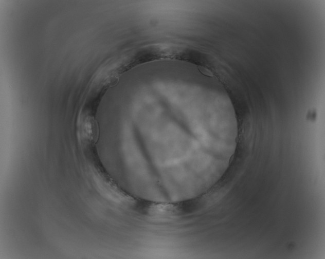 X0000112770137200909171322