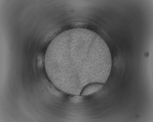 X0000112770138200909171322