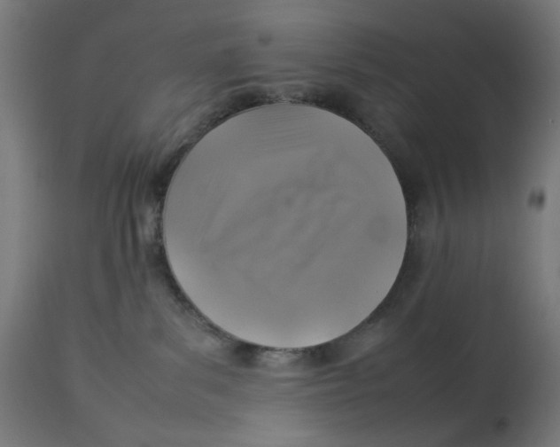 X0000112770139200909171322