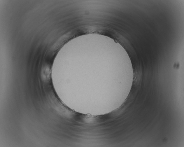 X0000112770142200909171322