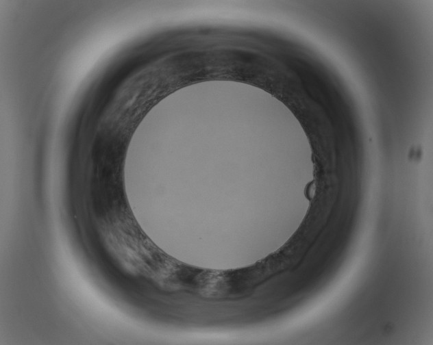 X0000112770143200909171322