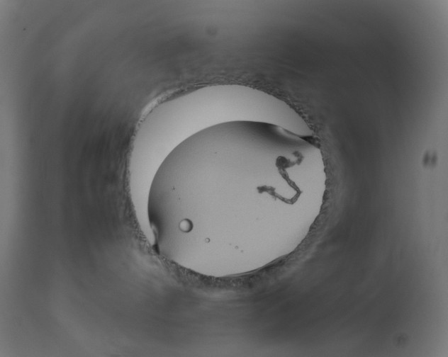 X0000112770144200909171322