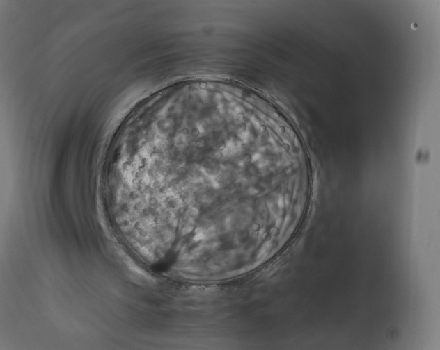 X0000112770145200909171321