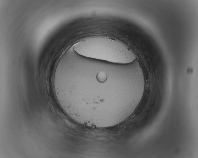 X0000112770146200909171321