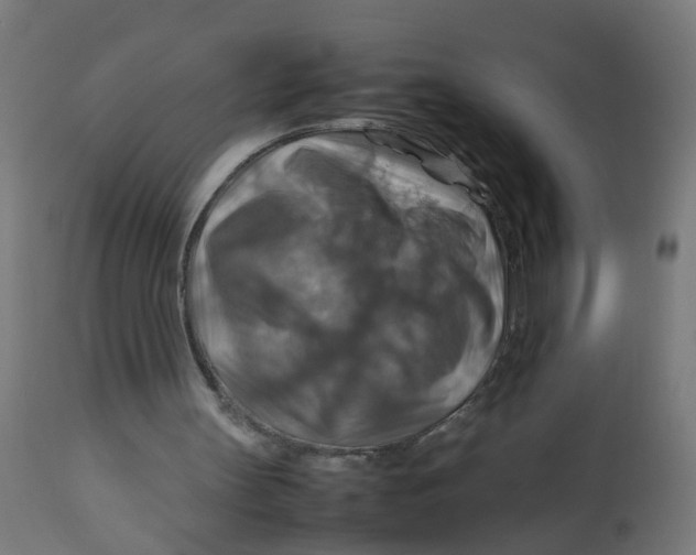 X0000112770147200909171321