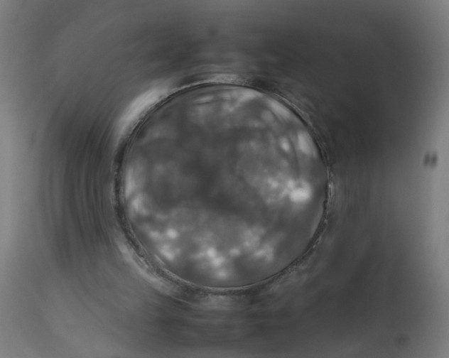 X0000112770149200909171321