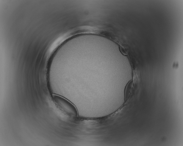 X0000112770150200909171321